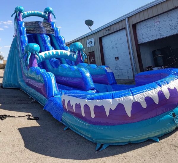 Deep Sea Jellyfish Water Slide