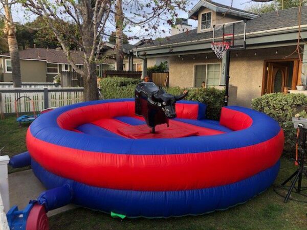 Mechanical Bull