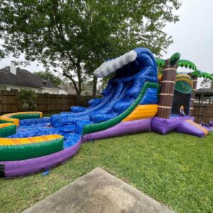 Dual Lane Wave Palm Bounce House