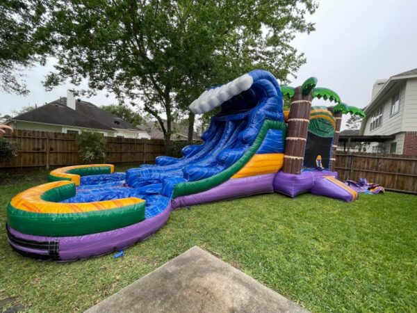 Dual Lane Wave Palm Bounce House