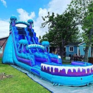 Jellyfish waterslide