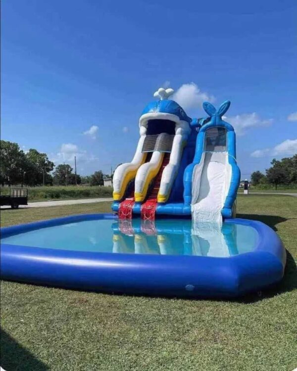 Blue Whale Waterslide (19T 15W 29L) - Image 2