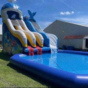 Blue Whale Waterslide (19T 15W 29L)
