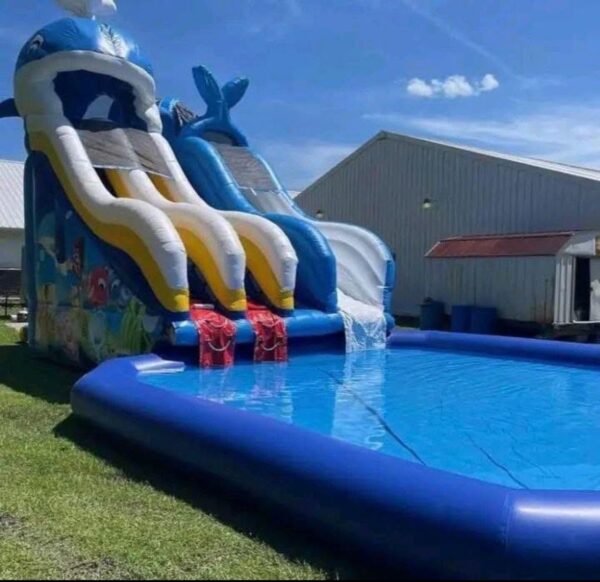 Blue Whale Waterslide (19T 15W 29L)