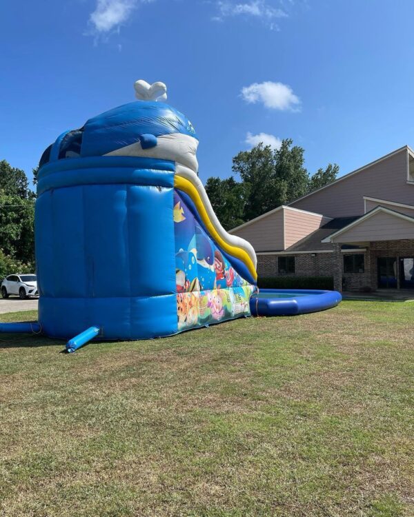 Blue Whale Waterslide (19T 15W 29L) - Image 3
