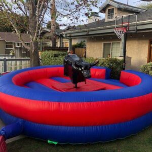 Mechanical Bull Bouncer