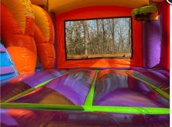 Castle Combo Bounce House with Double Slides